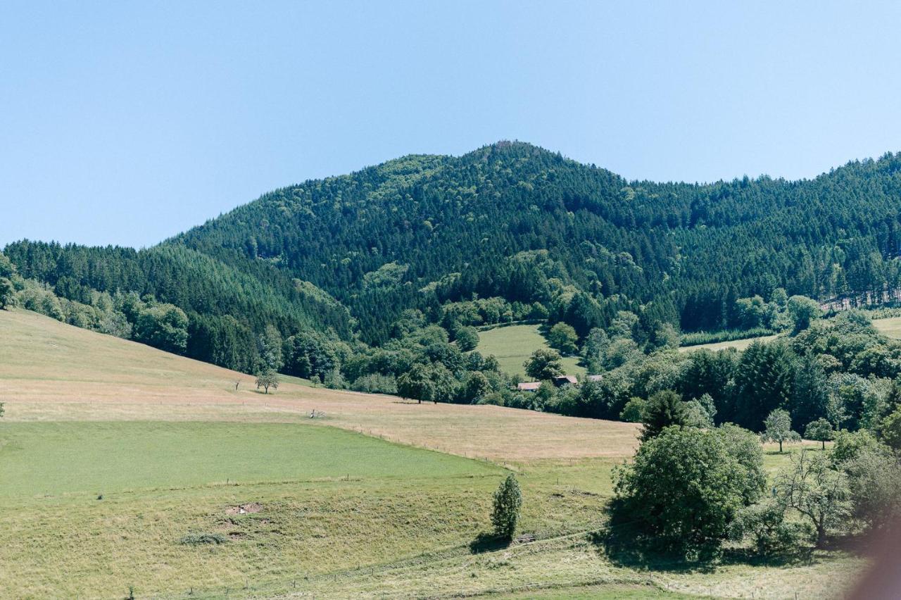 Moderne 2 Zi.-Fewo Blackforest Art Naehe Freiburg Simonswald Buitenkant foto